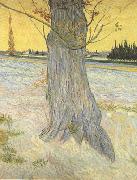 Vincent Van Gogh Trunk of an old Yew Tree (nn04) oil on canvas